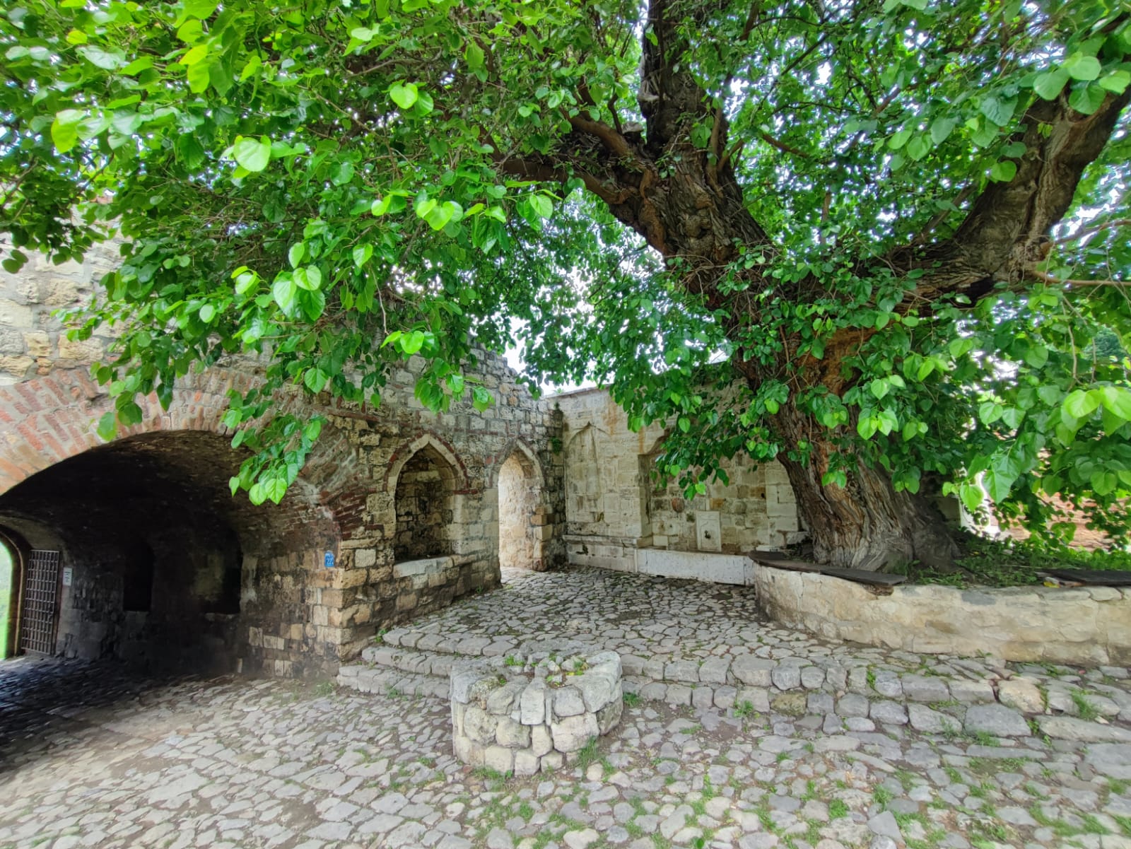 WhatsApp Image 2023-07-20 at 11.33.54 (2)