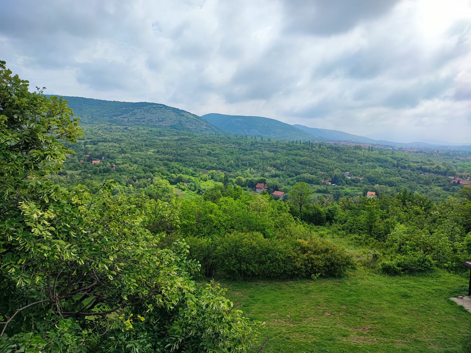 WhatsApp Image 2023-07-20 at 11.33.56